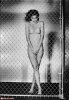 Nude-behind-chain-link-fence.jpg