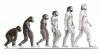 evolution-primate-to-human-800x430.jpg