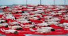 in-melbourne-nearly-a-thousand-people-posed-nude-for-artist-spencer-tunick.jpg