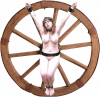 Wheel003.png.png