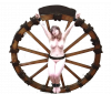 Wheel009.png.png