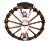 Wheel010.png.png