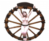 Wheel011.png.png