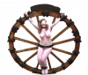 Wheel014.png.png