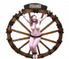 Wheel016.png.png