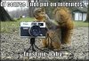 funny-images-creepy-squirrel-camera-park-742545.jpg