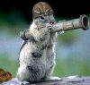 soldier_squirrel.jpg