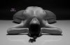 1779060-nude-yoga-in-black-and-white.jpg