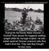 source-is-mentioned-in-our-blog-www-unbelievablefactsblog-com-during-the-normandy-5608727.png