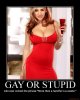 gay-or-stupid-big-boobs-september-hot-chick-demotivational-poster-1232036721.jpg