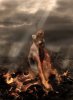 witch_burning_by_pandorasconviction_d4l9hsq-pre.jpg