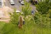 karolina-m-blonde-on-the-street-nude-in-public-08-800x533.jpg