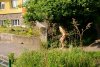 karolina-m-blonde-on-the-street-nude-in-public-12-800x533.jpg