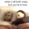 both-crazy-love-memes.jpeg