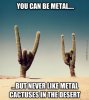 heavy-metal-cactus.jpg