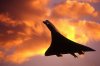 9 concorde sunset landing.jpg