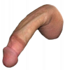 dick_1.png