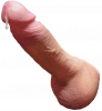 dick_55.png