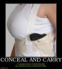 conceal-and-carry-guns-concealed-carry-demotivational-posters-1299689817.jpg