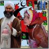 k-Sharia die ewige Weltordnung bcdd.jpg