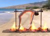 aprilrose_g8f___roasted_over_fire___beach__17__by_drgeppetto.jpg