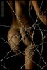 Barbed wire 51.jpg