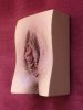 vagina-cast-resin-realistic-paint-3b.jpg