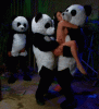 pandas.gif