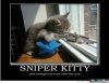 sniper-kittymeme.jpg