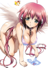 ikaros6.png