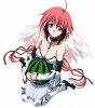 ikaros7.jpg