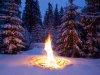 winter-solstice-celebrations.jpg