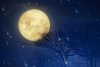 Winter-solstice-meteor-shower-full-moon2-copy.jpg