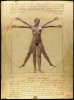 the-vitruvian-woman-don-ewing.jpg