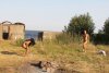 Two-girls-play-badminton-naked-4-700x467.jpg