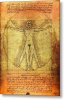 vitruvian-woman-daniel-hagerman.jpg