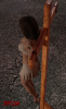 lenas_crucifixion_8_by_douti_sana.png