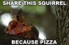 Share-This-Squirrel.jpg