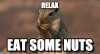 squirel41.gif