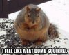 squirel74.jpg