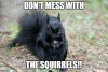 squirel77.jpg