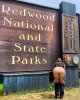 5663897-nirvana-redwoods.jpg