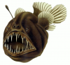 Humpback_anglerfish.png