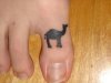 right-toe-camel-tattoo.jpg