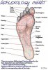 Reflexology_Chart_For_Feet____by_zekesgraphics.jpg