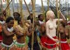 Zulu_albino.jpg