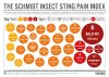 1 Schmidt's insect sting pain index.jpg