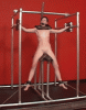 bdsmlr-14534-fAOfGVD6GY.gif