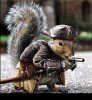 1d- squirrel cosplay 6d8f88c47b8b.jpg