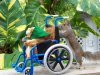 2 - squirrel wheelchair -bc18cefbfb05.jpg